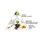 Haramain Le Reve D'Eve, 100ml, Extrait De Parfum