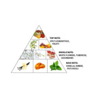 Haramain Zahara Dubai, 100ml, Extrait De Parfum